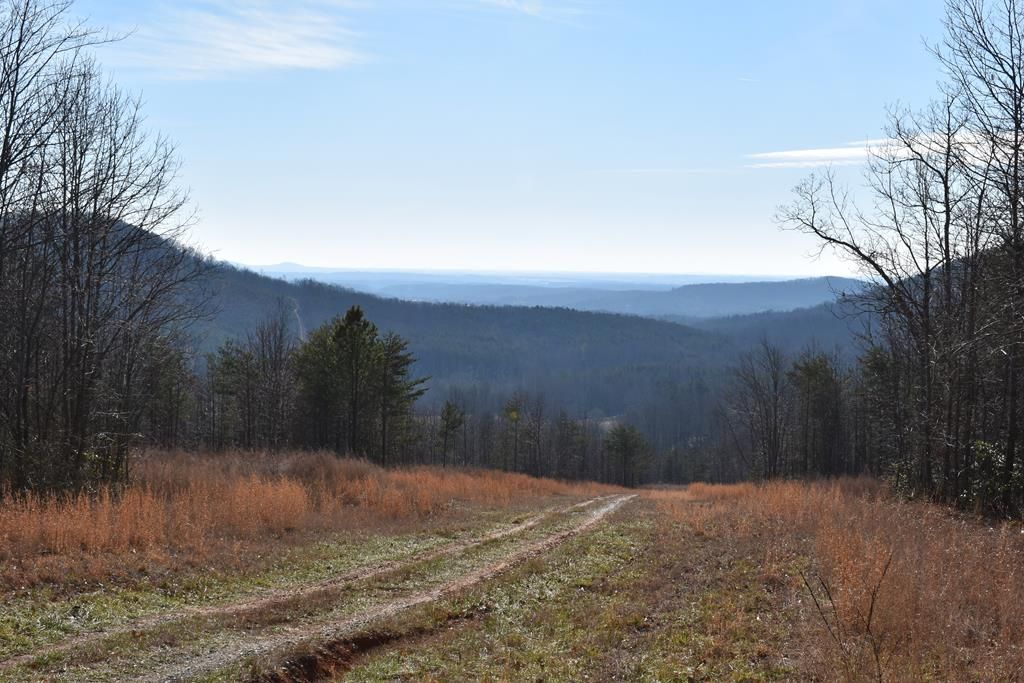 1144 Holly Grove Rd, Lambsburg, VA 24351 Trulia