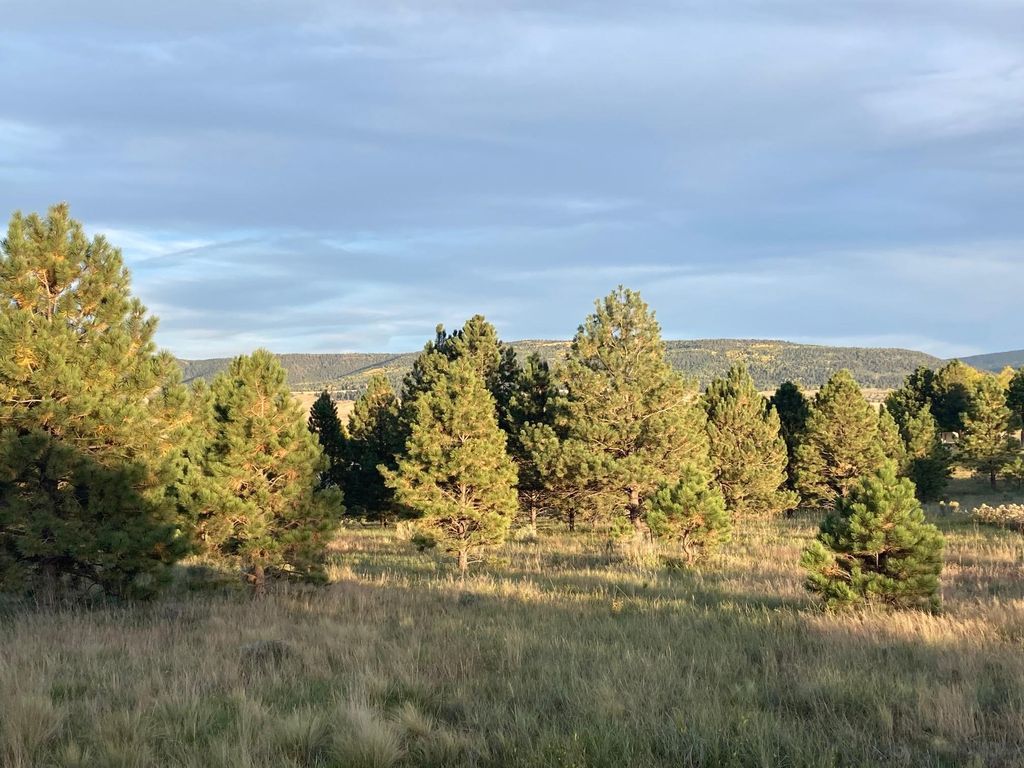 5 Six Country Club Rd, Angel Fire, NM 87710 MLS 109497 Trulia