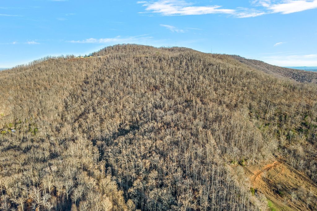 Sugar Tree Knob Rd, Liberty, TN 37095 MLS 2469777 Trulia