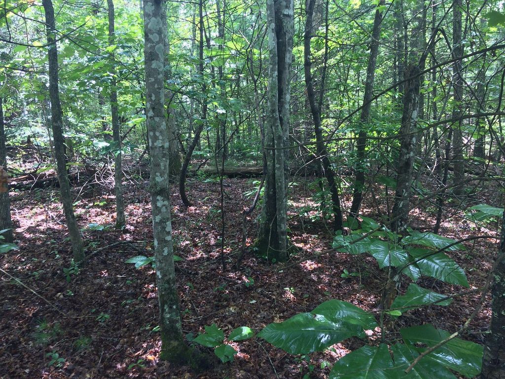 White Oak Creek Ln 13, Rugby, TN 37733 Trulia