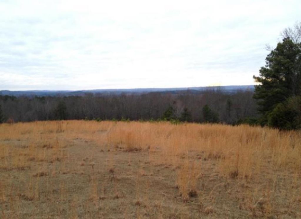 Overlook Rd, Blountsville, AL 35031 Trulia