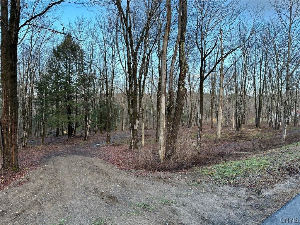 Woods Rd, Utica, NY 13502 Trulia