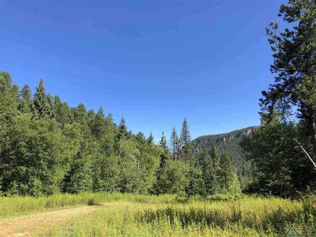 Toboggan Hill Rd 8, Lead, SD 57754 Trulia