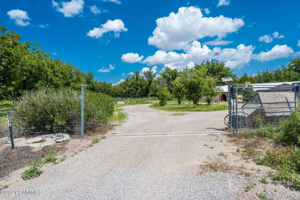 317 Blue Sky Ln, Mesilla Park, NM 88047