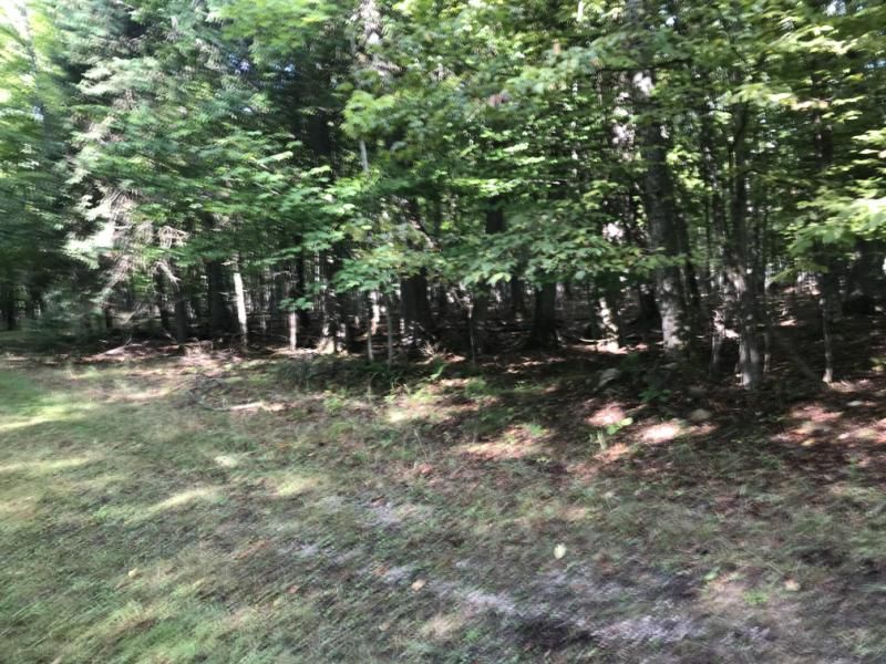 S Rock Rdg 30, Drummond Island, MI 49726 Trulia