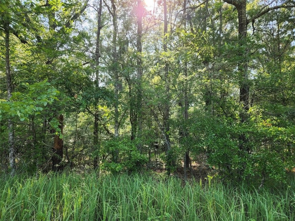 Highway 160, Cotton Valley, LA 71018 Trulia