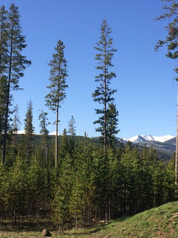 Wraith Hill Ln, Anaconda, MT 59711 Trulia