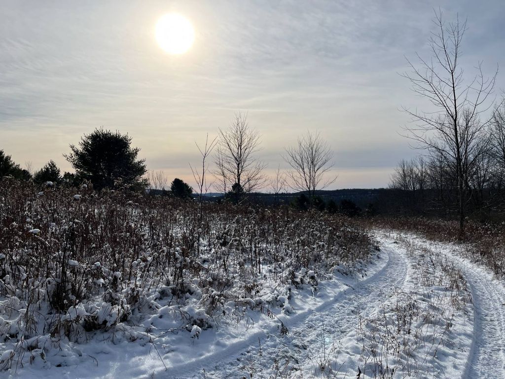 Wp01 Langford Creek Rd, Van Etten, NY 14889 Lot/Land for Sale MLS