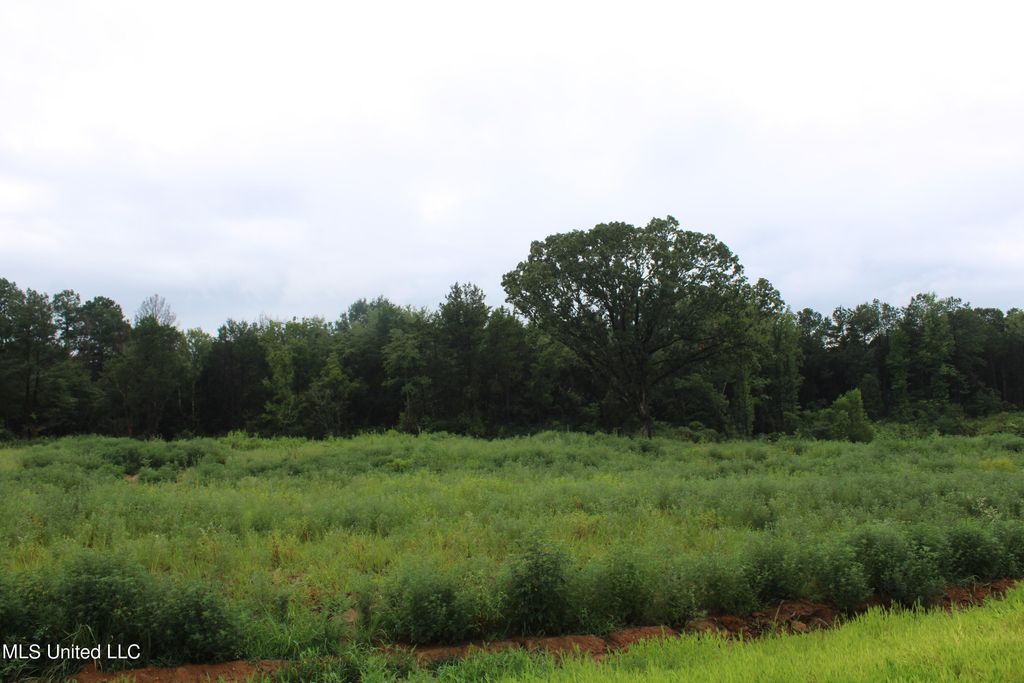 5 Taylor Nichole Rd, Byhalia, MS 38611 MLS 4055720 Trulia