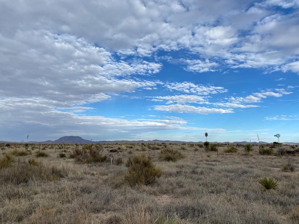 2417 Antelope Hills Rd, Marfa, TX 79843 Trulia