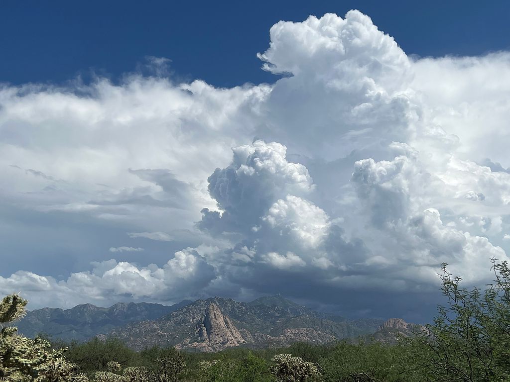 Elephant Head Dove Way Amado, Amado, AZ 85645 Trulia
