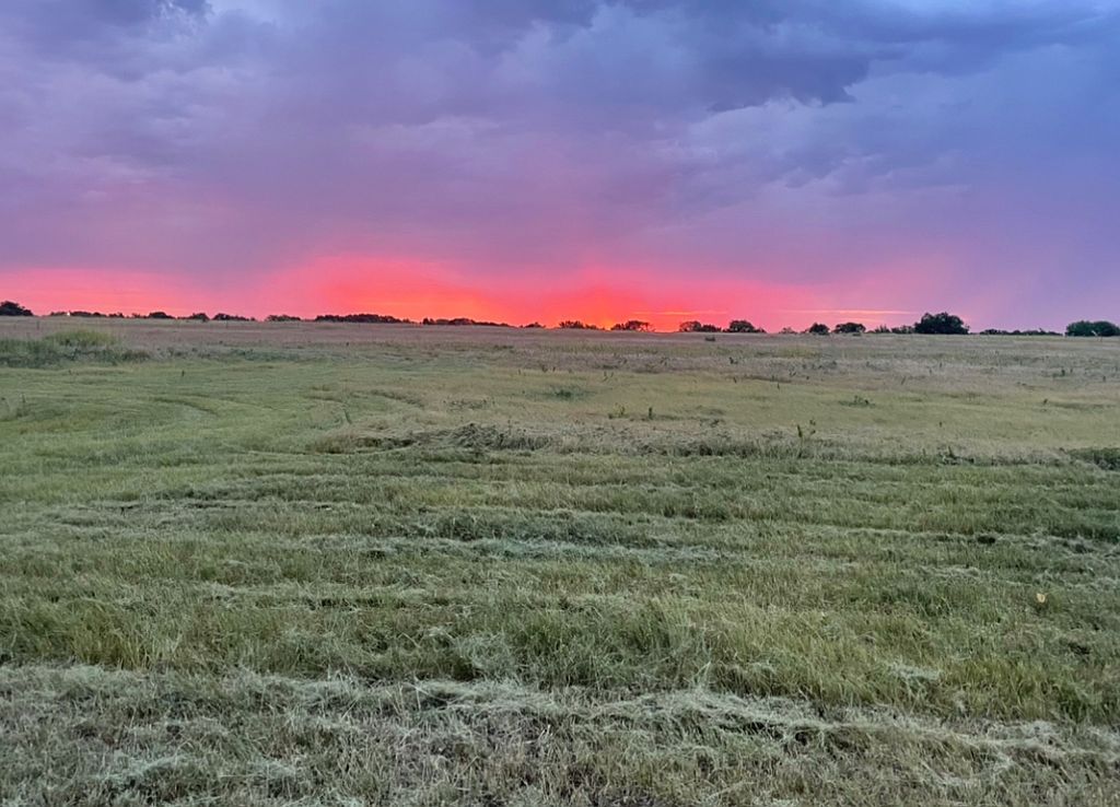 254 County Road 4975, Leonard, TX 75452 | Trulia