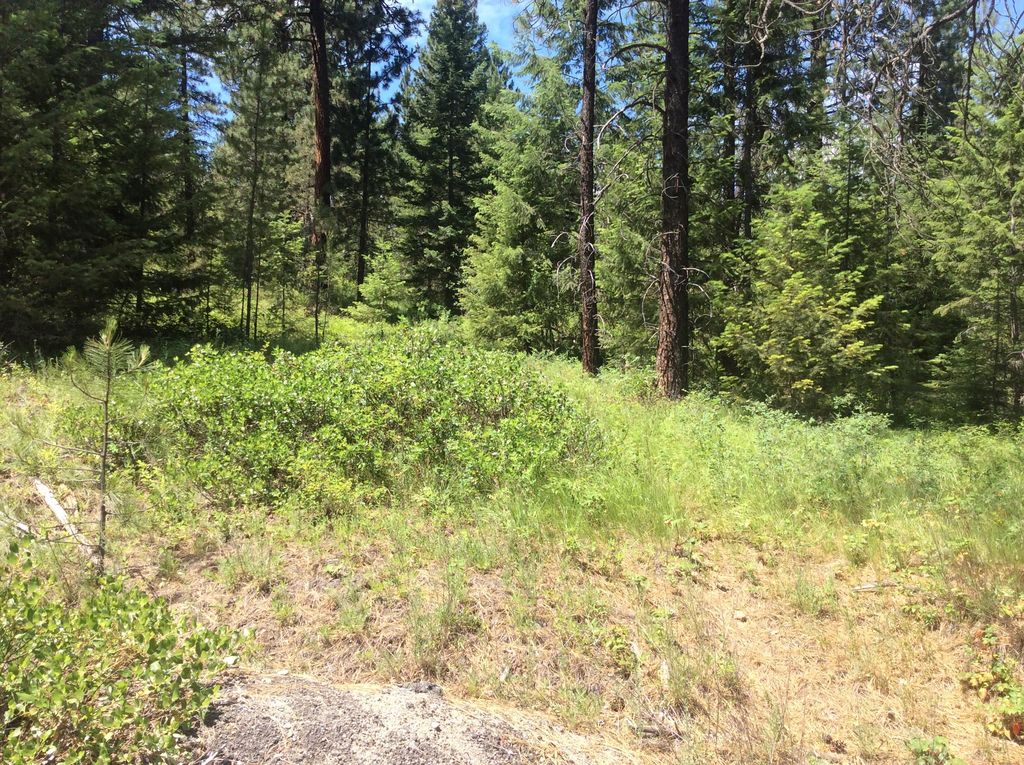 Nka Blanchard Elk Rd, Blanchard, ID 83804 Trulia