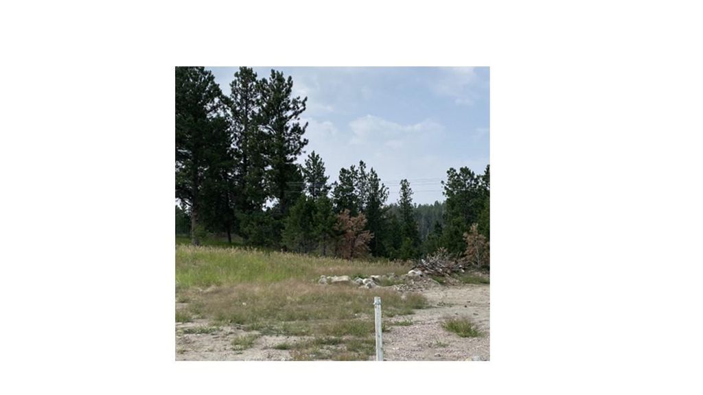 1020 Quinn Dr, Hill City, SD 57745