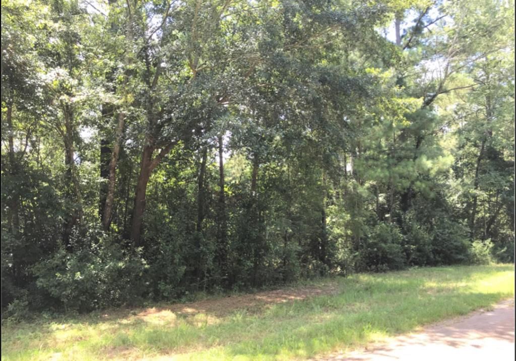 6 Joiner Dr, Albany, GA 31721