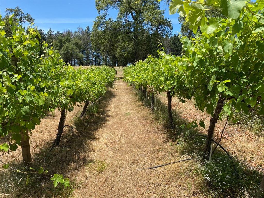 3420 Pine Ridge Ln, Auburn, CA 95603