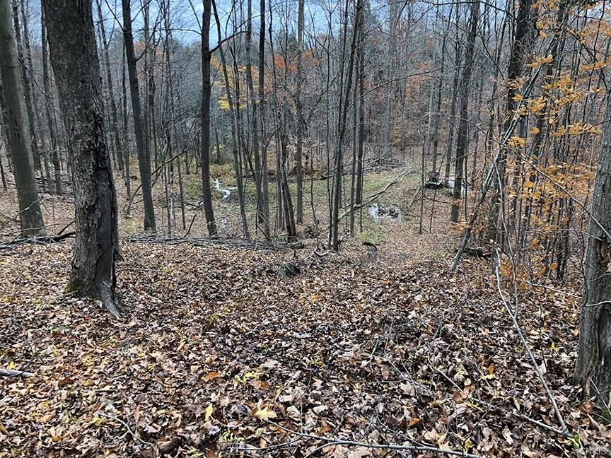 7018 Gleason Hill Rd, Belfast, NY 14711 Trulia