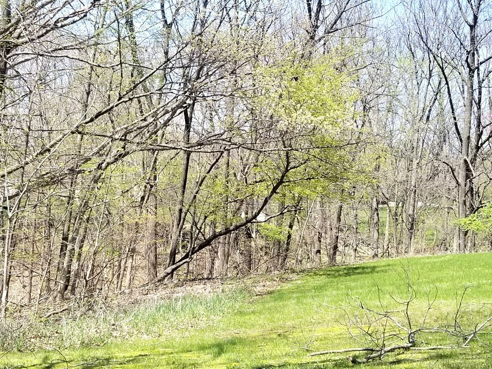 1277 Sunnyslope Dr, Varna, IL 61375 Trulia