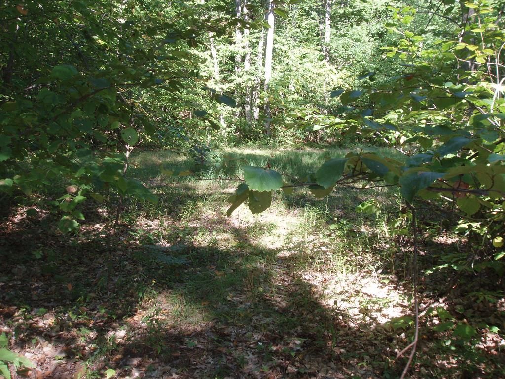 LOT Six Mount Tom Ln C, Wellsboro, PA 16901 Trulia