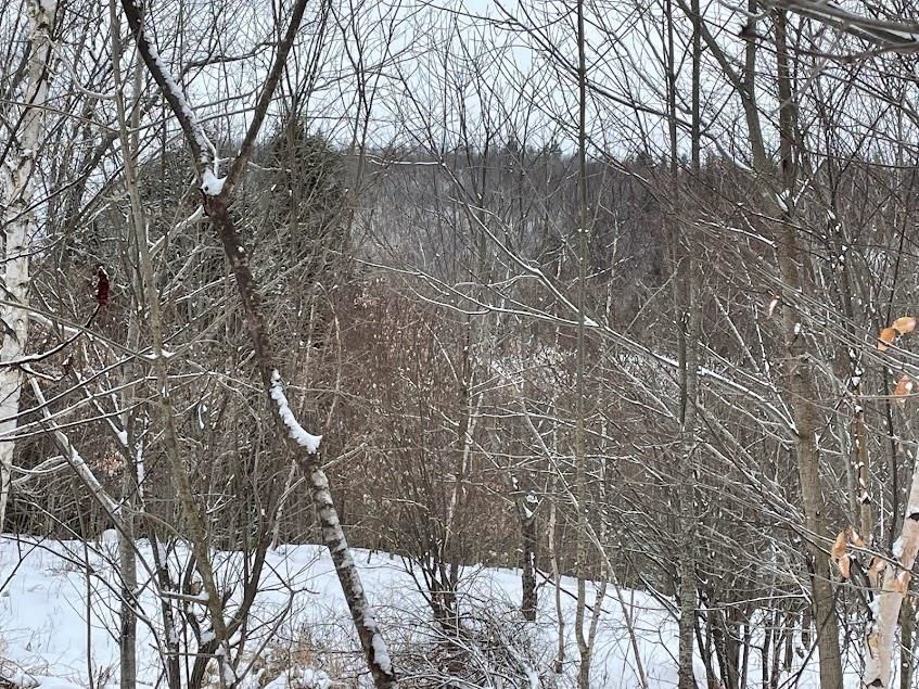 Lot 22 Haverel Lane tax map 204 lot 22, Haverhill, NH 03765 Trulia