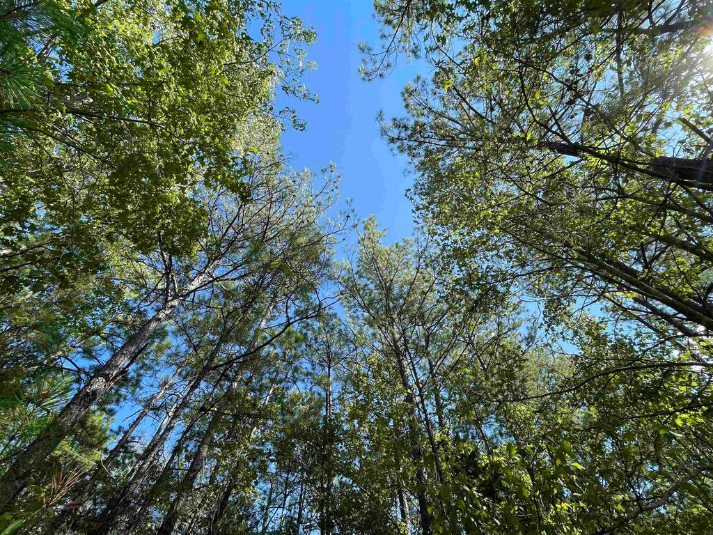 4630 State Highway 96 N, Jasper, TX 75951 MLS 4208587 Trulia