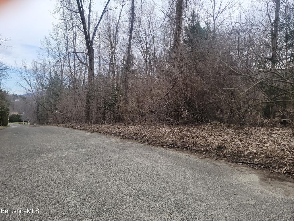 10 Tracie Ave, Adams, MA 01220 See Est. Value, Schools & More