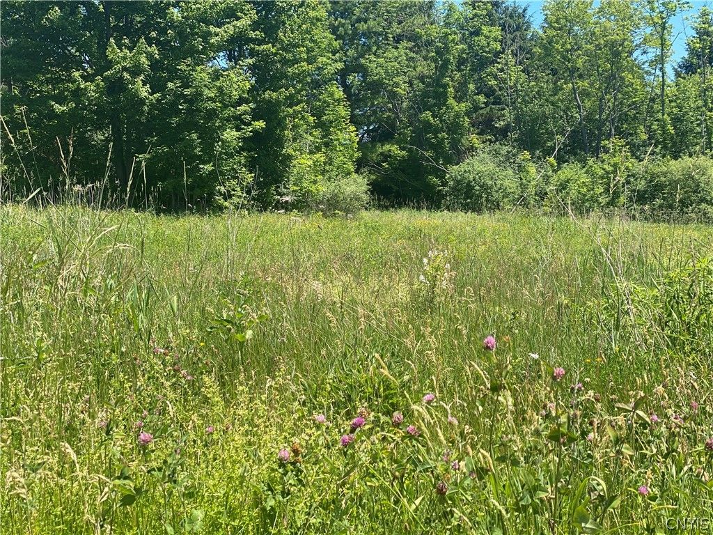 6659 Buckland Dr, Marcy, NY 13403 MLS S1296934 Trulia