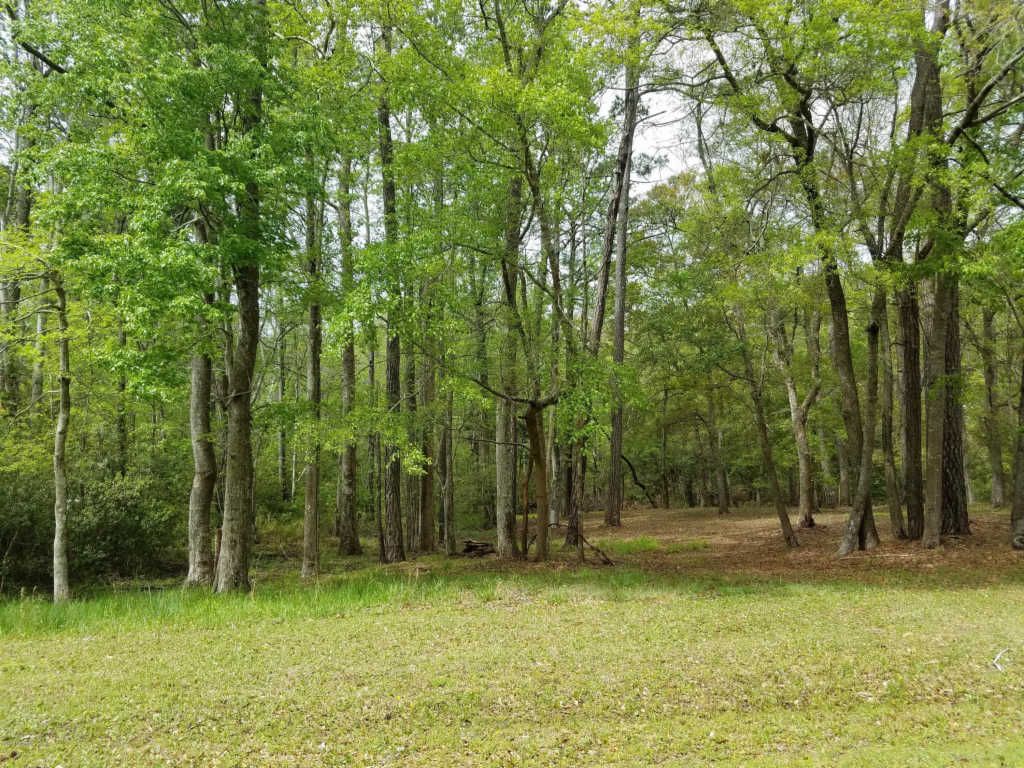 1618 Gores Landing Rd SW, Ocean Isle Beach, NC 28469 Trulia