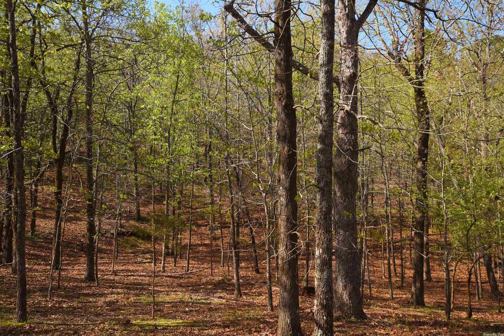 1 E Bluff Dr, Quitman, AR 72131 Trulia