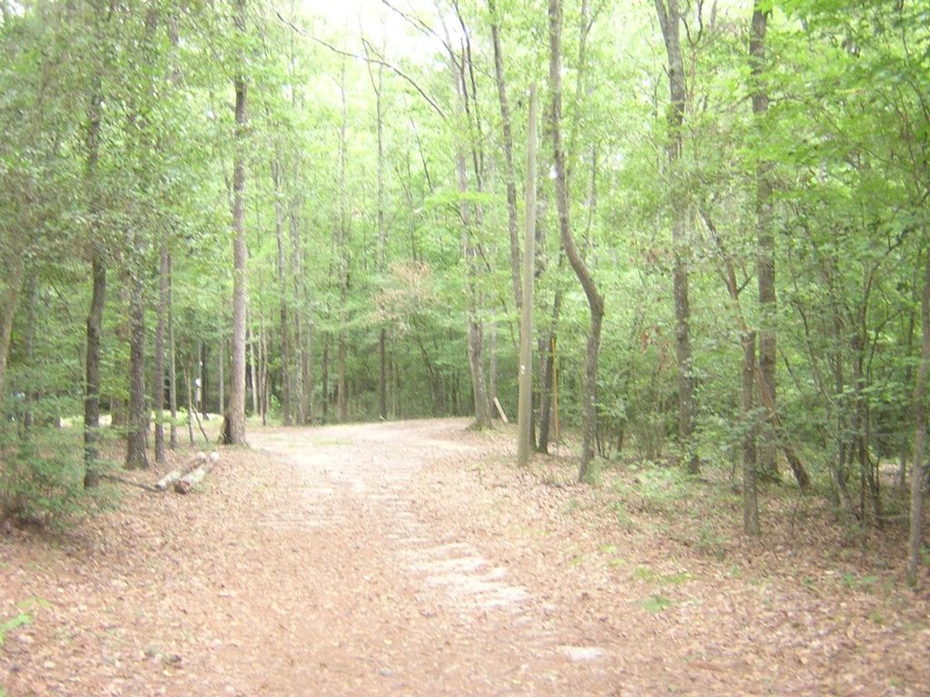 235 White Oak Trl, Carlton, GA 30627 Trulia