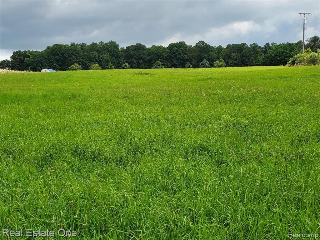 Bordman Rd, Almont, MI 48003 Trulia