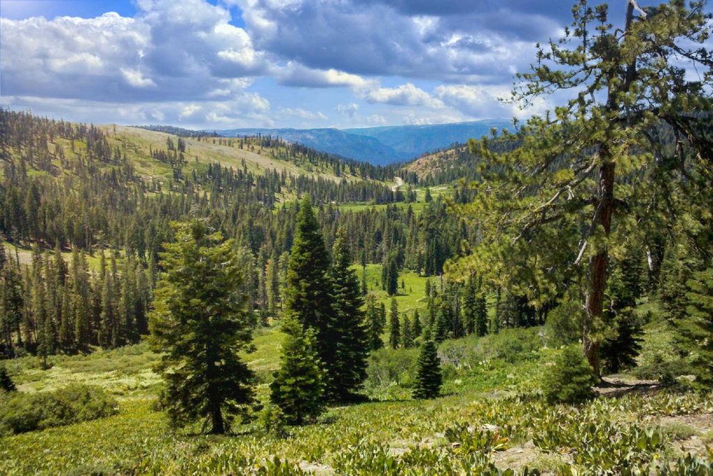 9280 Quincy La Porte Rd, Strawberry Valley, CA 95981 Trulia