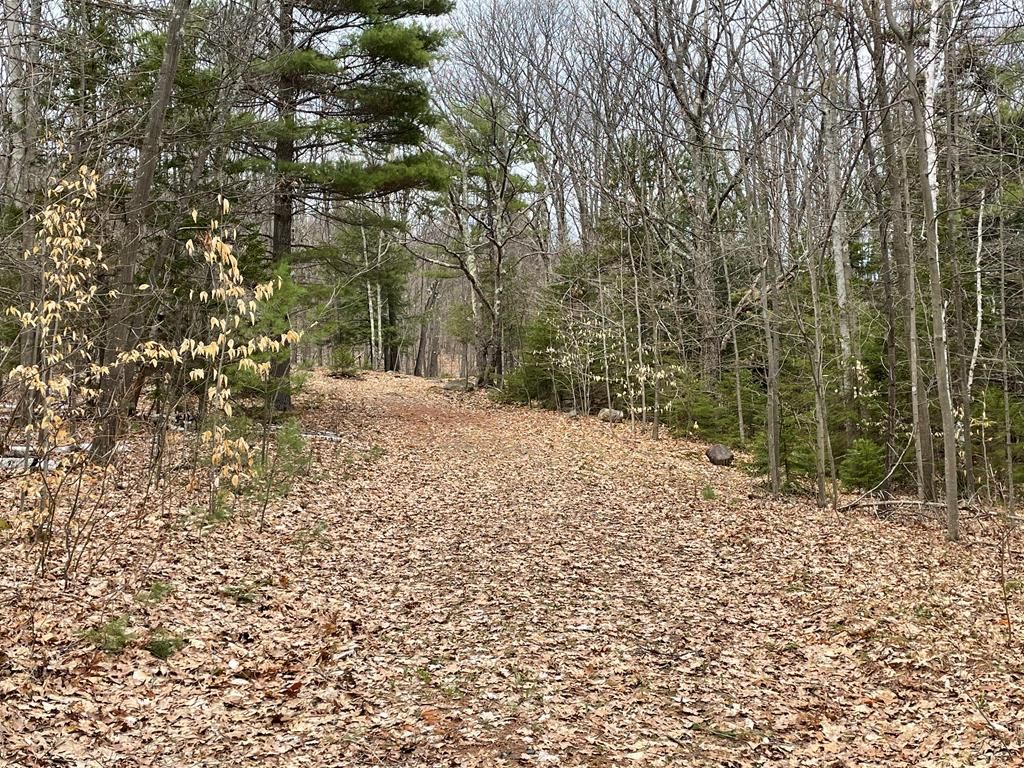 Lot 4 Eisenglass Way, Keene, NY 12942 Trulia