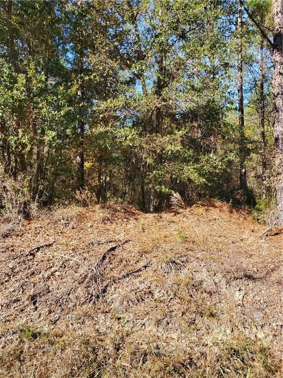 Lot 51 Vic Waters Rd NE, Townsend, GA 31331 Trulia