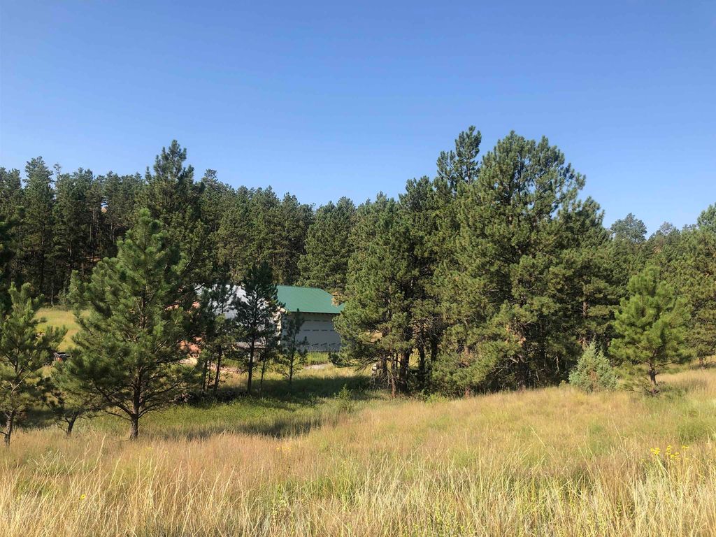 27176 Big Valley Rd, Hot Springs, SD 57747