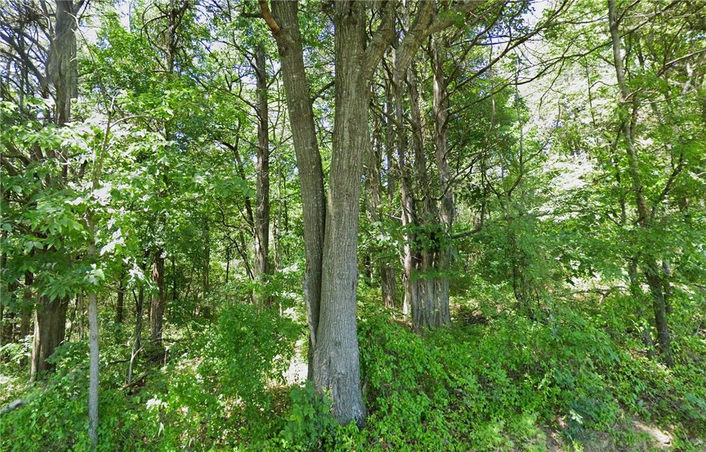 311 Highway, Green Forest, AR 72638 MLS 1257919 Trulia