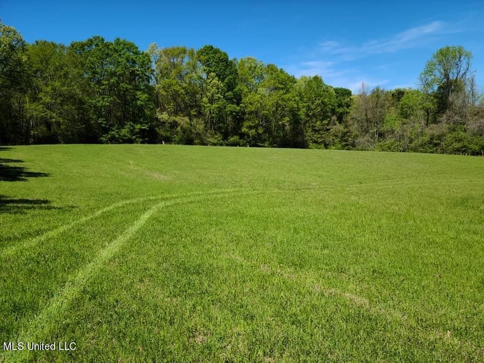 Adams lake Rd, Utica, MS 39175 Trulia