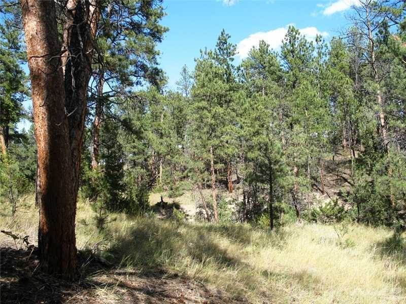 Homestead Rd, Broadview, MT 59015 Trulia