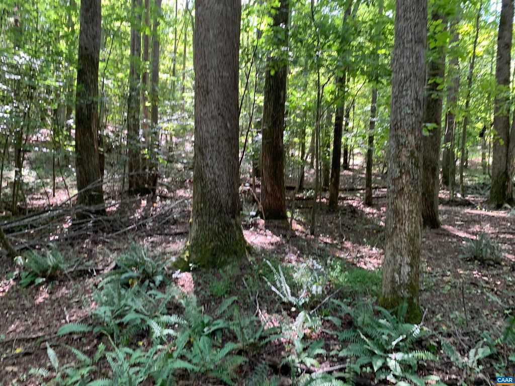 Lot 7 Green Creek Rd 7, Schuyler, VA 22969 MLS 641576 Trulia