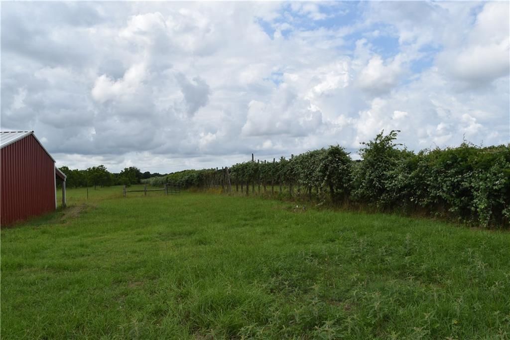 1409 Antioch Rd, Paige, TX 78659