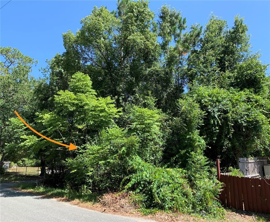 Lots 16 & 17 Lake Ave 1600, Paisley, FL 32767 Trulia