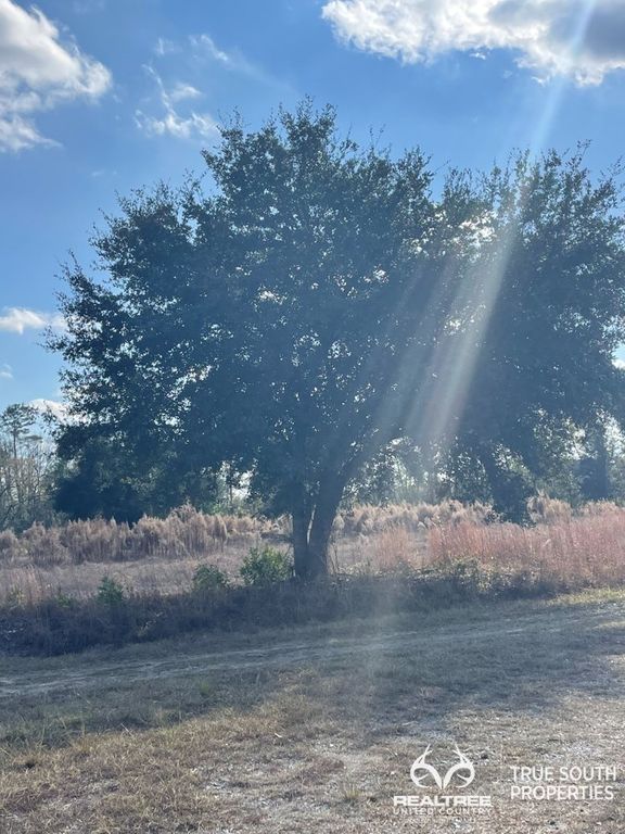 Possum Corner Rd 11, Early Branch, SC 29916 Trulia