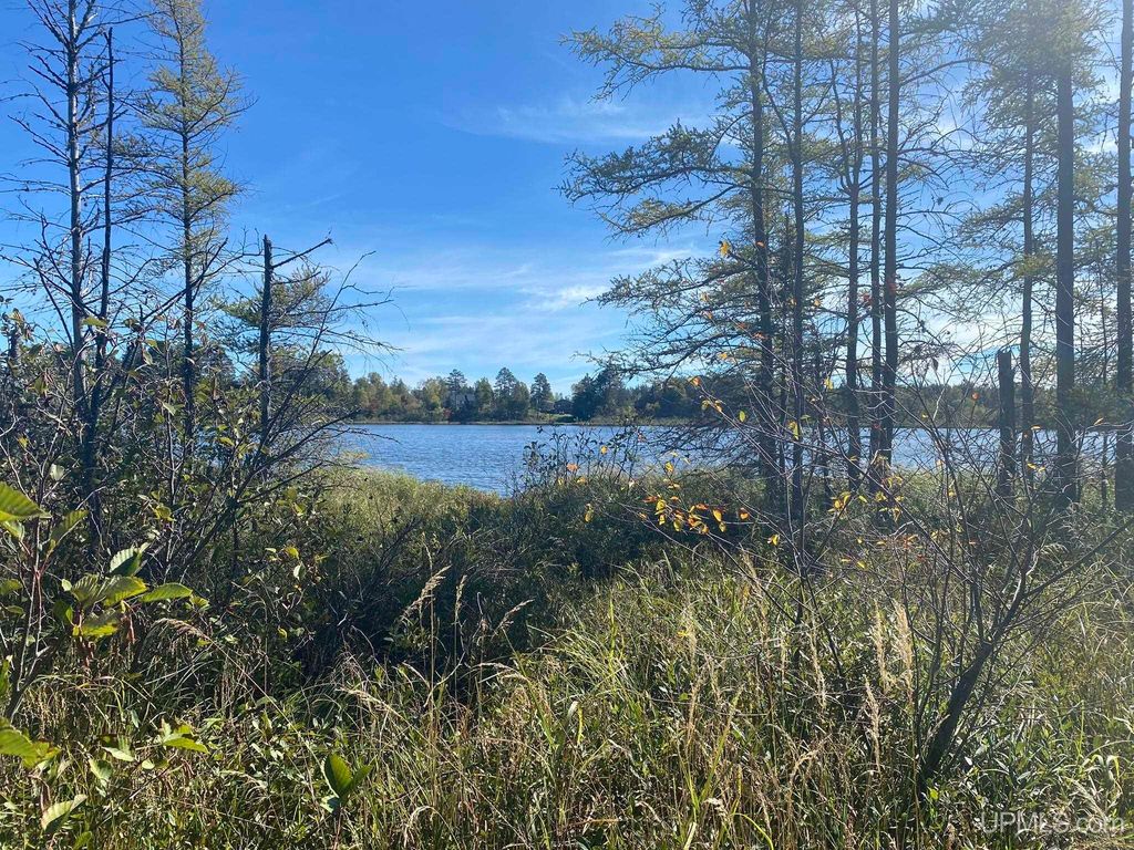 Slough Lake Rd, Gwinn, MI 49841 Trulia