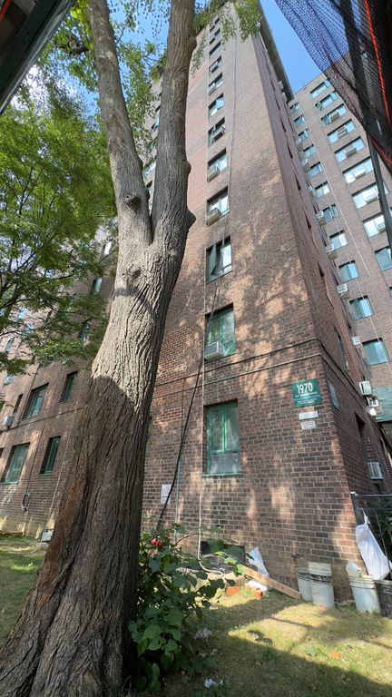 カ*ー様 stabridge the apartment Bronx Bombe Fire at Bronx Apartment Building Kills 4 - The New York Times