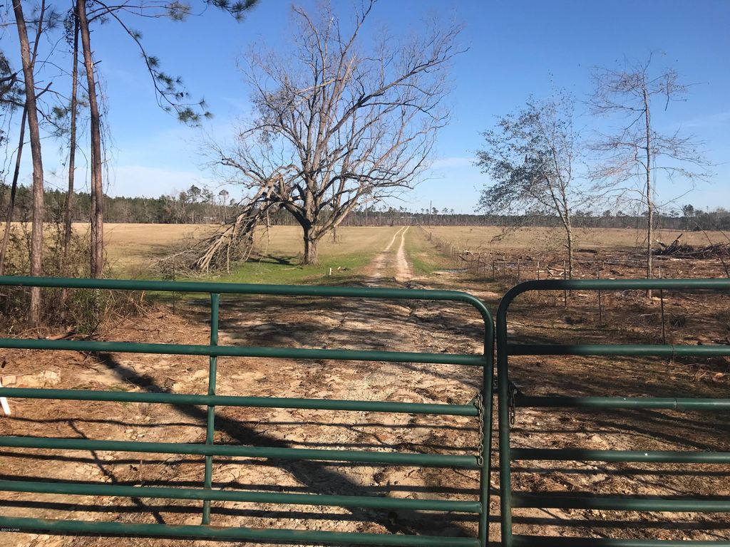 4500 River Rd, Sneads, FL 32460 Trulia