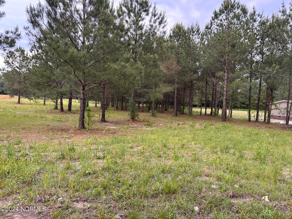 172 Ballance Farm Road LOT 23, Saint Pauls, NC 28384 MLS 100440721