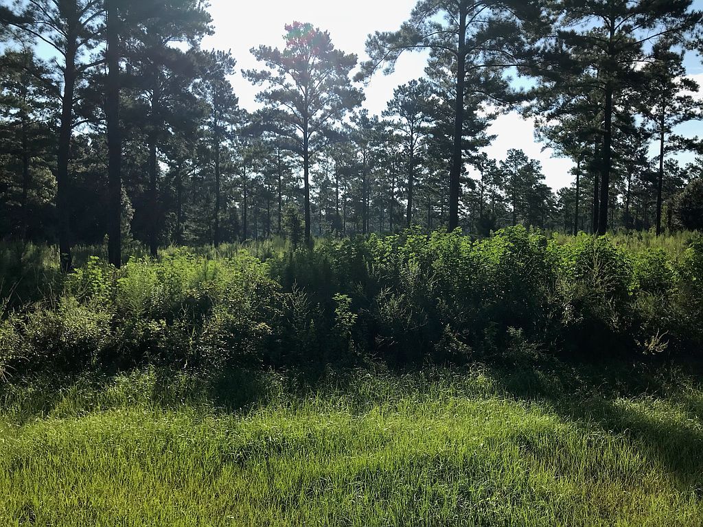 8 Hidden Pond Rd, Tallahassee, FL 32317 Trulia