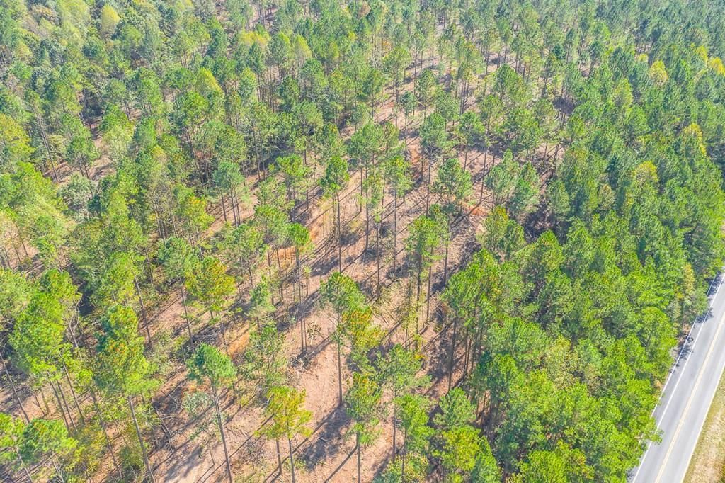 Lot 38 Crow Rd NE 38, Dalton, GA 30721 Trulia