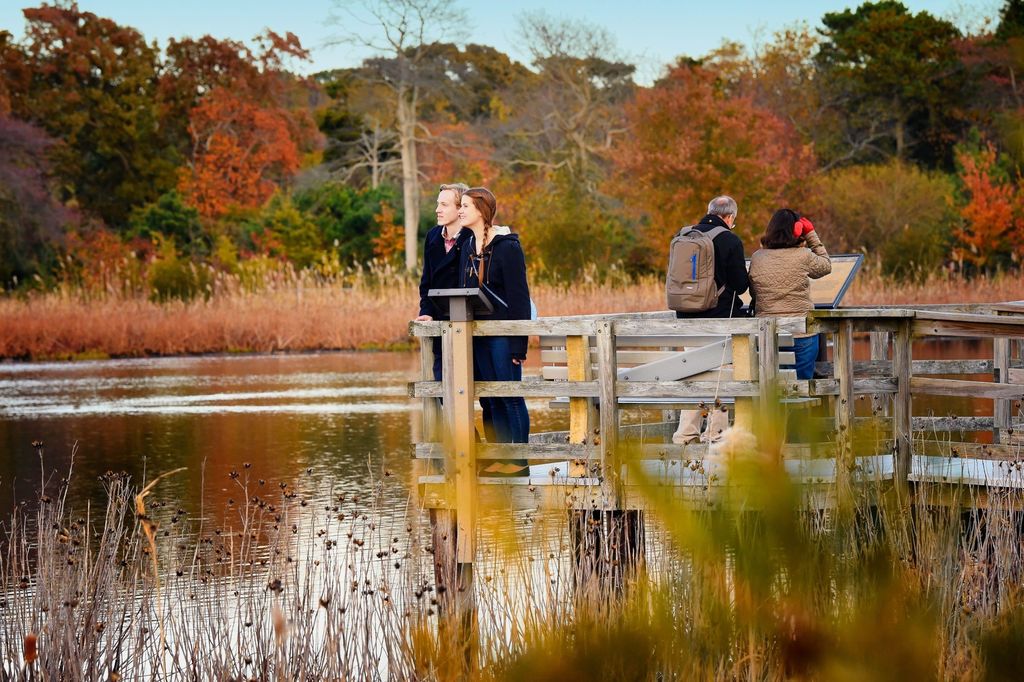 901 Hand Ave, Cape May Court House, NJ 08210 MLS 241917 Trulia