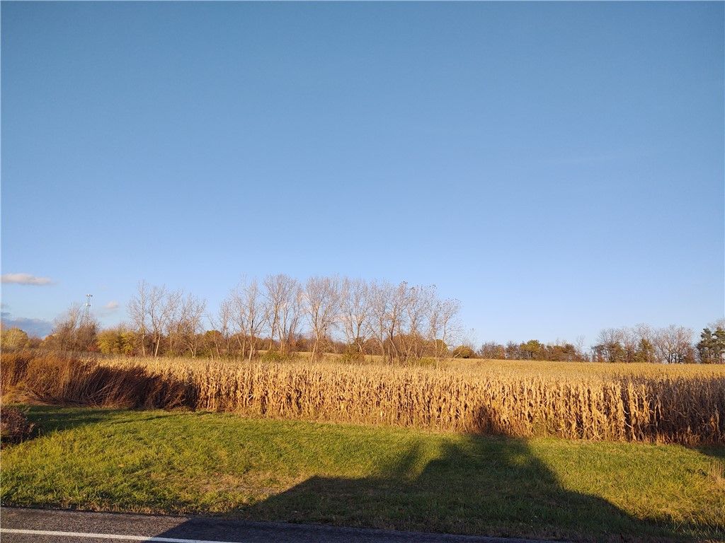 Bowerman Rd, Farmington, NY 14425 Trulia